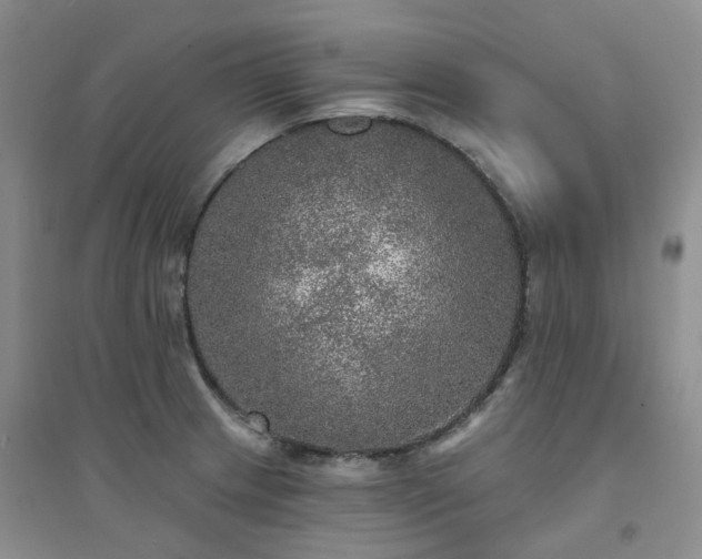 X0000094461233200711151442