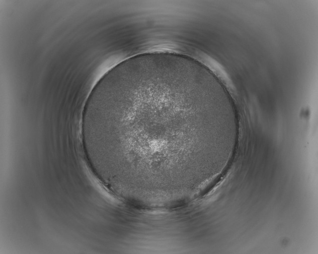 X0000094461234200711151442