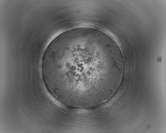X0000094461235200711151443