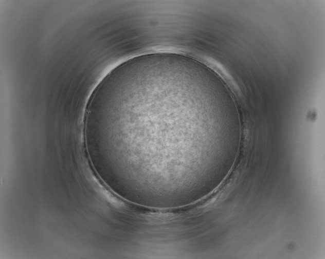 X0000094461236200711151443