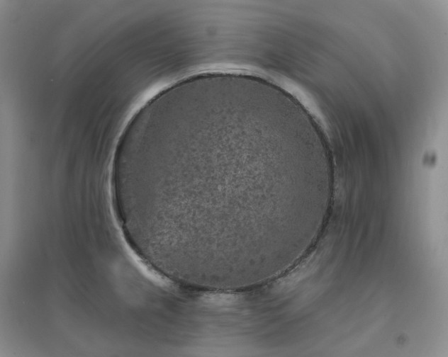 X0000094461237200711151443