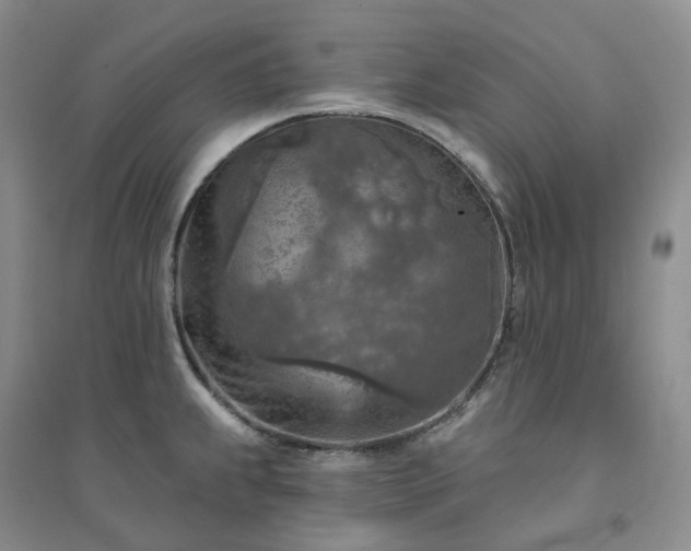 X0000094461239200711151443