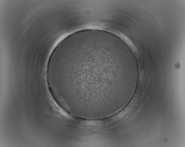 X0000094461240200711151443