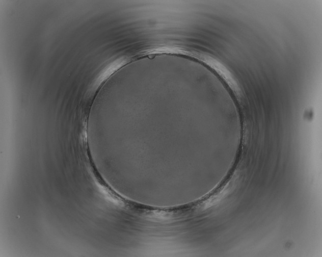 X0000094461241200711151443
