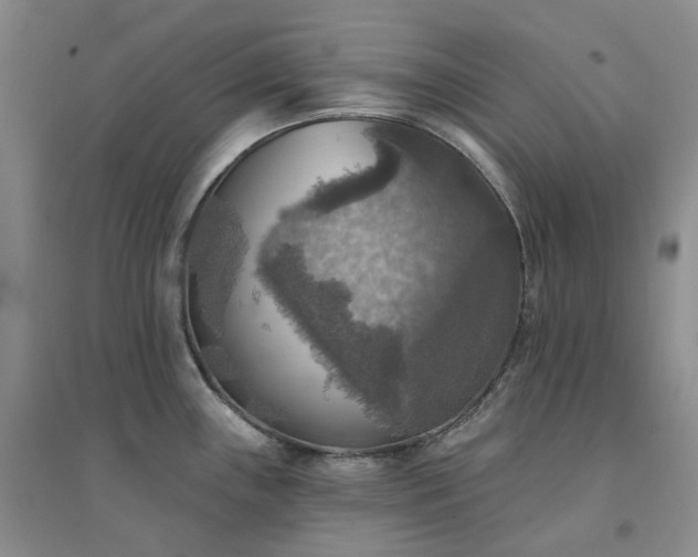 X0000094461243200711151443