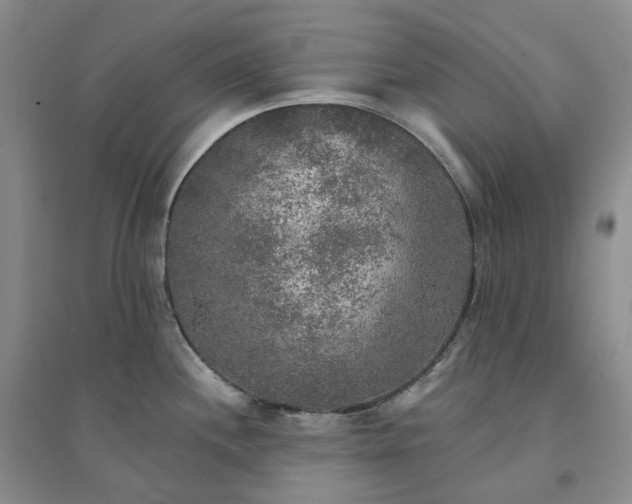 X0000094461244200711151443