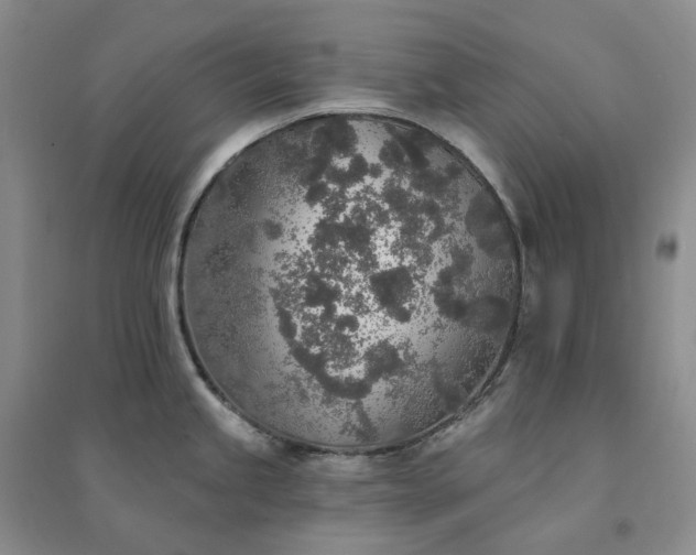 X0000094461245200711151443
