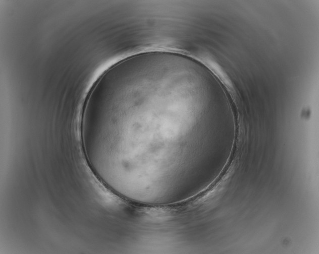 X0000094461246200711151443