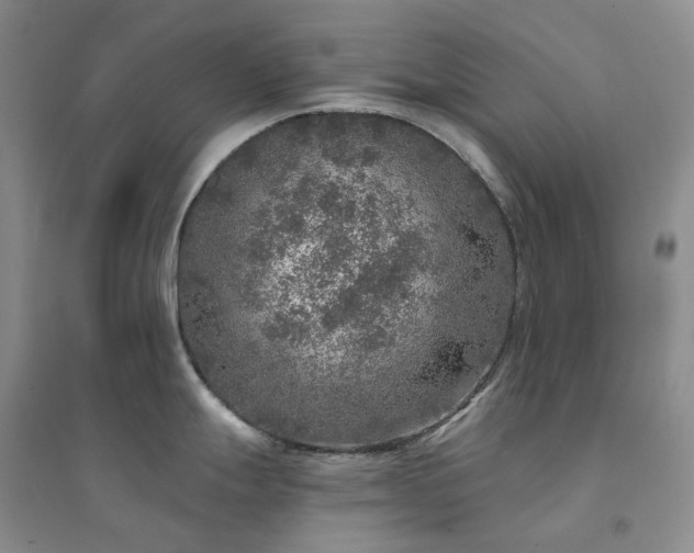 X0000094461247200711151443