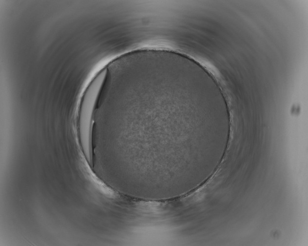 X0000094461248200711151443