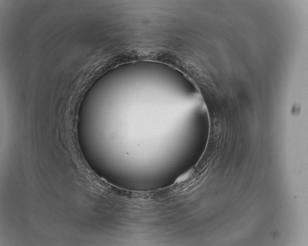 X0000094461249200711151442