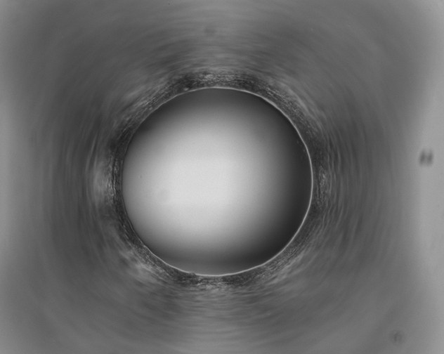 X0000094461250200711151442