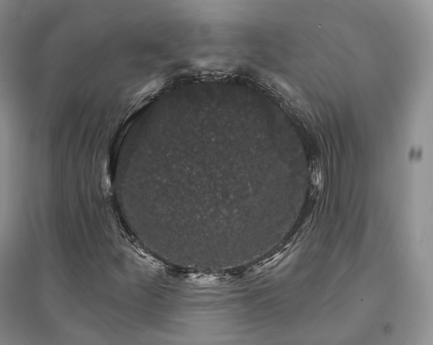 X0000094461252200711151442