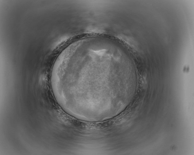 X0000094461254200711151442