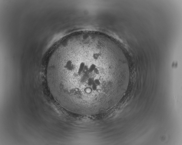 X0000094461255200711151442