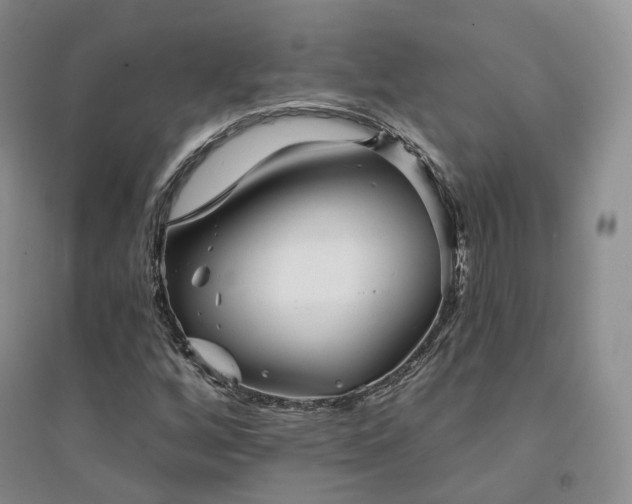 X0000094461256200711151442