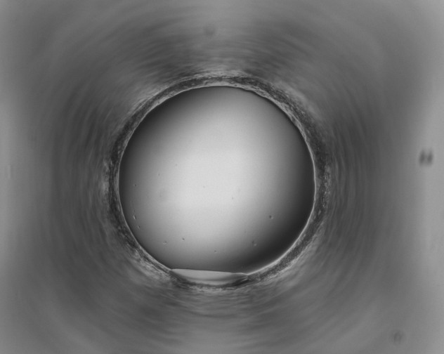 X0000094461257200711151442