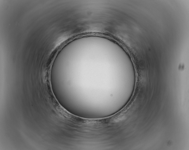 X0000094461258200711151442