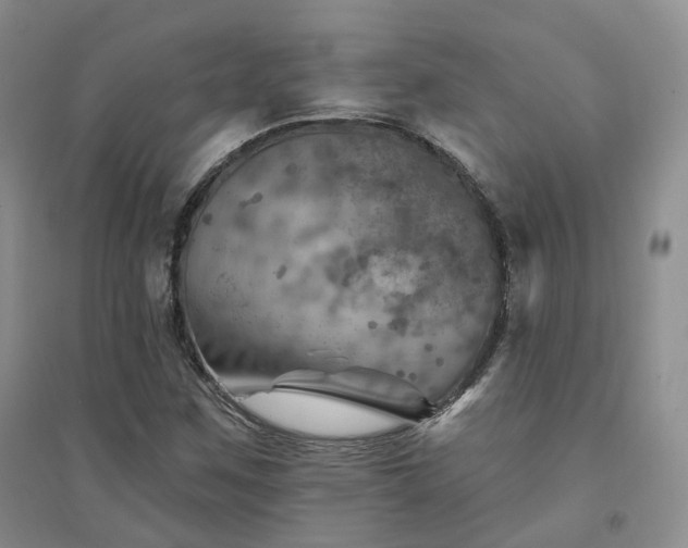 X0000094461259200711151442