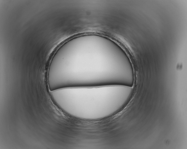 X0000094461260200711151442