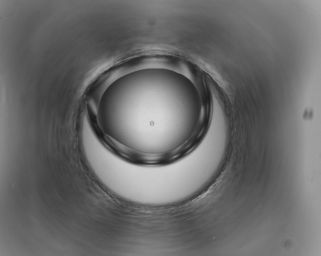X0000094461261200711151442
