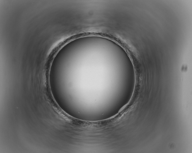 X0000094461262200711151442
