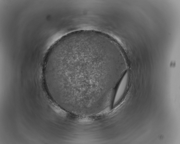 X0000094461263200711151442