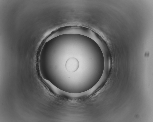 X0000094461264200711151442