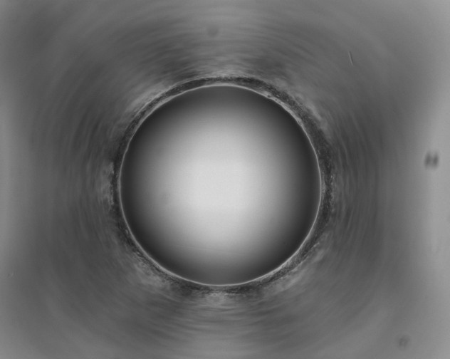 X0000094461265200711151442