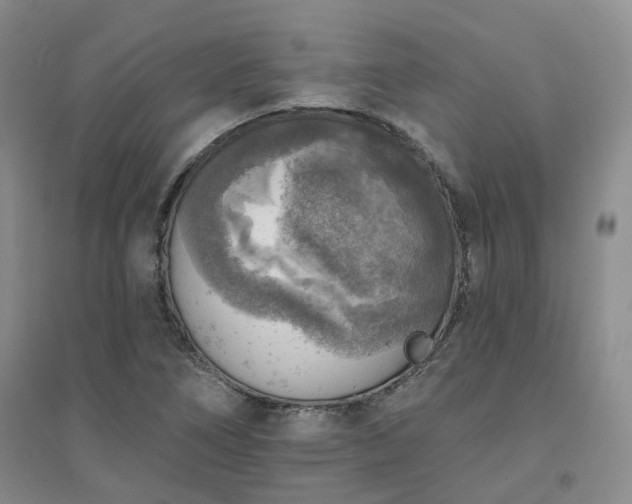 X0000094461266200711151442
