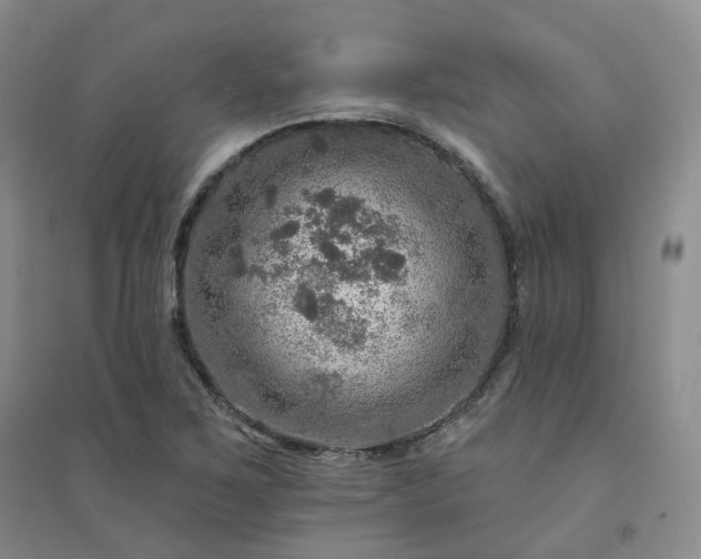 X0000094461267200711151442