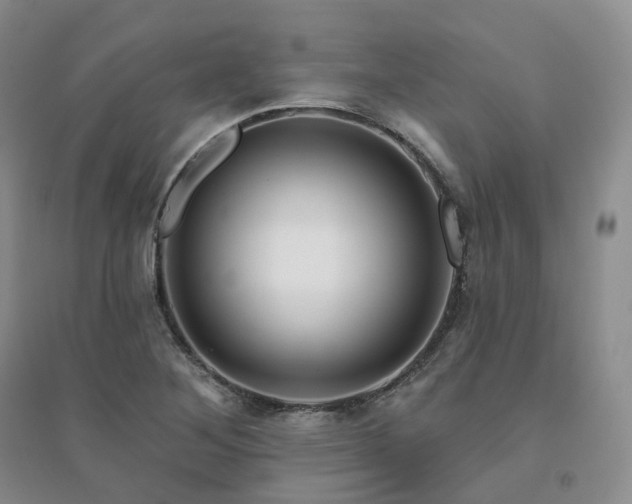 X0000094461268200711151442