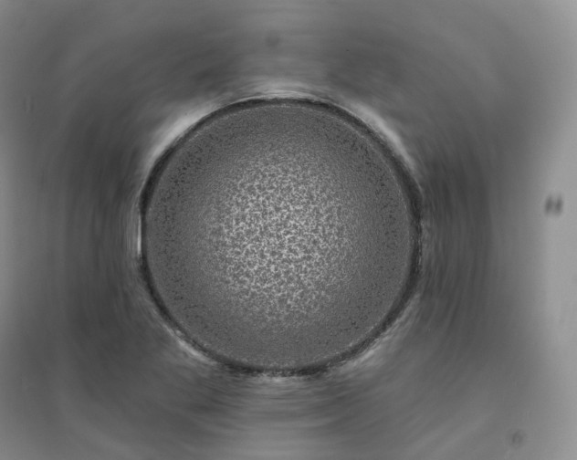 X0000094461269200711151442