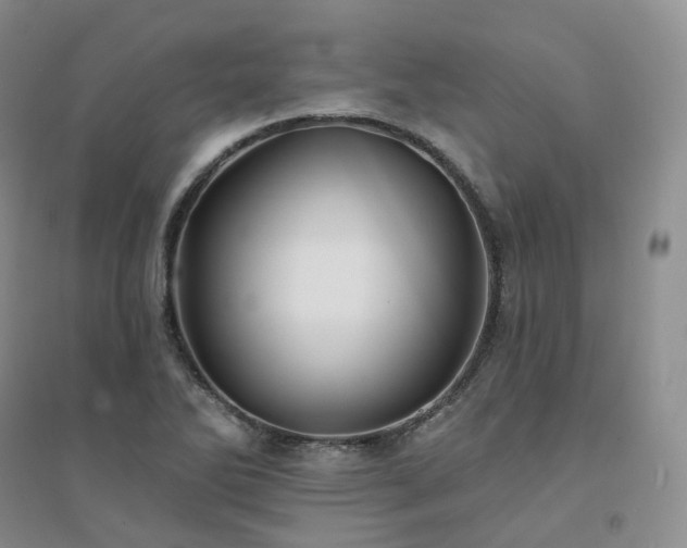 X0000094461270200711151442