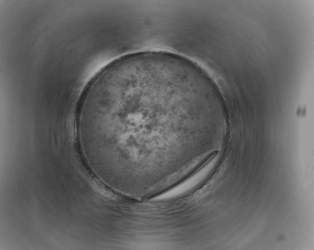 X0000094461271200711151442