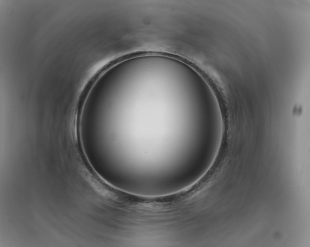 X0000094461272200711151442