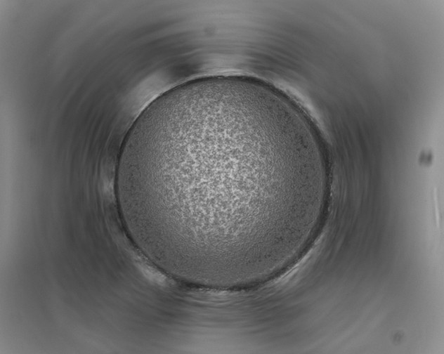 X0000094461273200711151442
