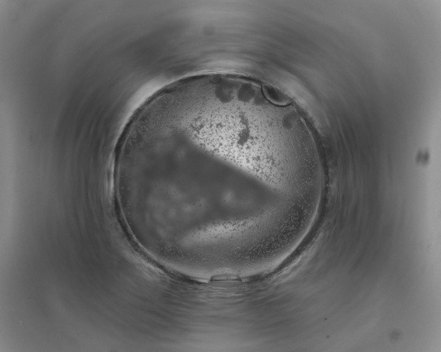 X0000094461275200711151442