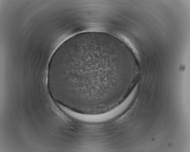 X0000094461276200711151442