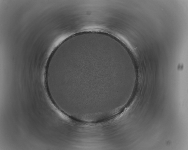 X0000094461277200711151442