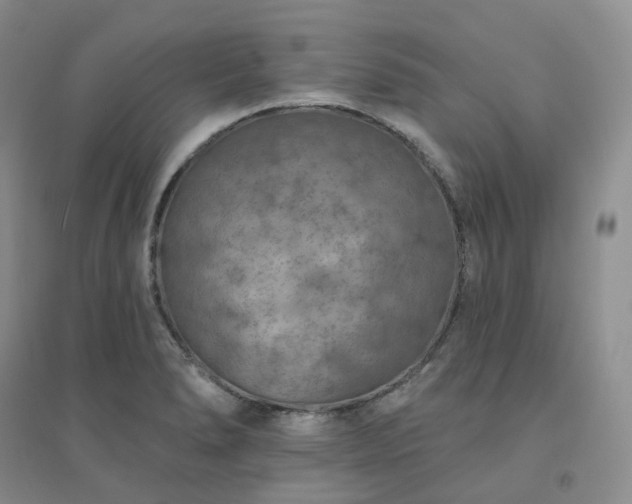 X0000094461278200711151442