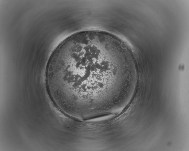 X0000094461279200711151442
