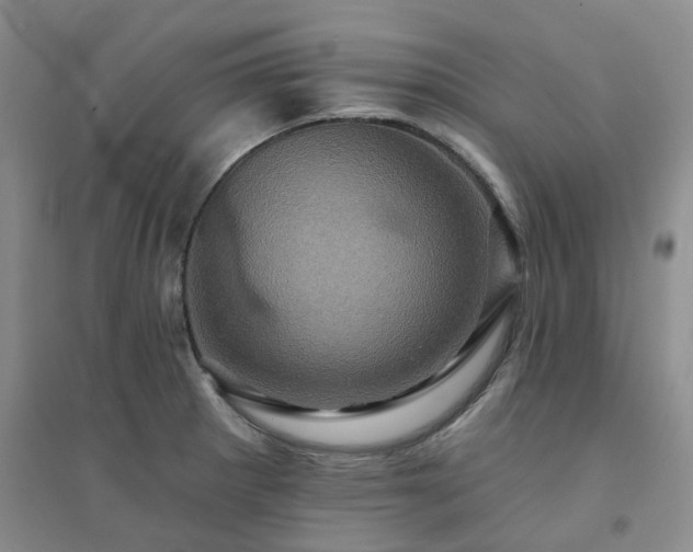 X0000094461281200711151442