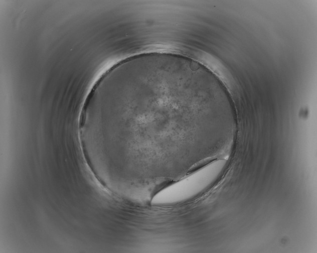 X0000094461283200711151442