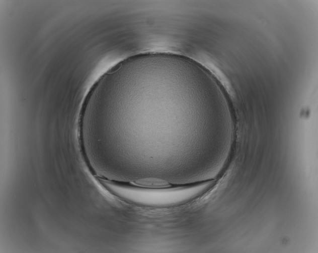 X0000094461285200711151442