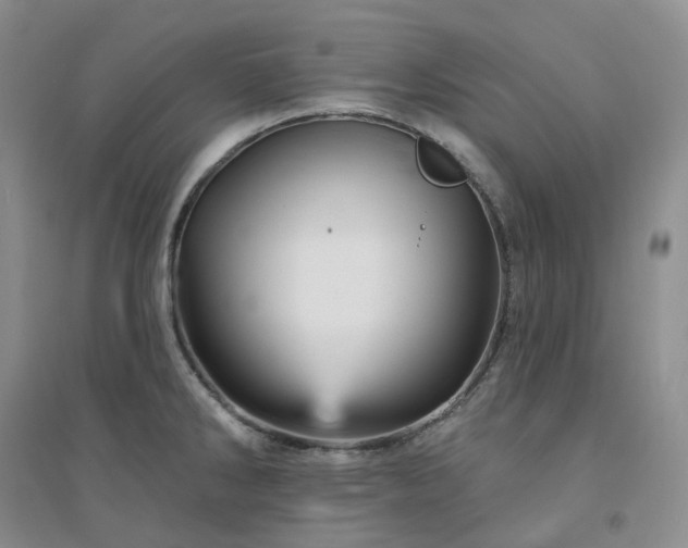 X0000094461286200711151442