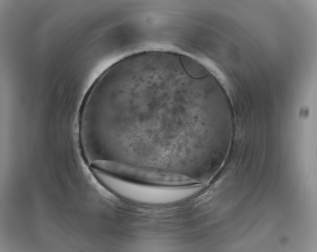 X0000094461287200711151441