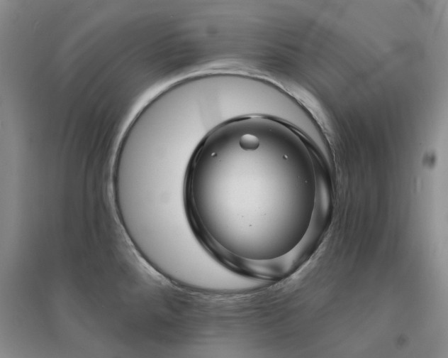 X0000094461288200711151441