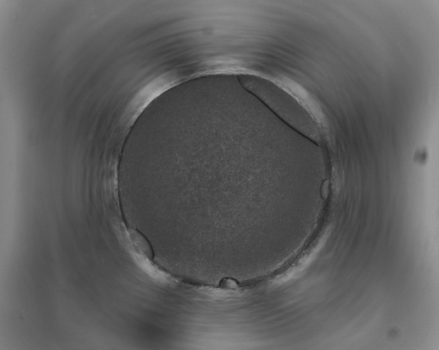 X0000094461289200711151441