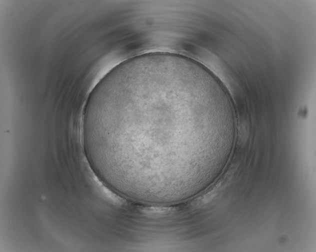 X0000094461290200711151441
